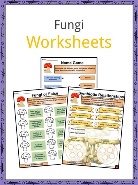 Fungi Facts Worksheets And Etymology For Kids