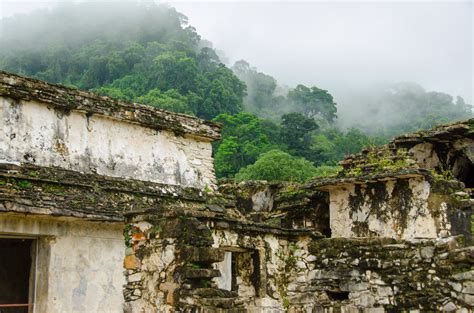 The Ruins Of Palenque Are Spectacularly Situated In Deep Jungle Mayan