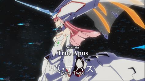 Strelitzia Apus Zero Two Apus Zero Two Willingly Transformed Herself
