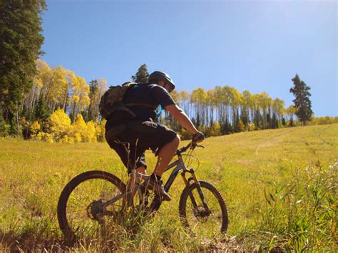 Mountain Biking Park Citys Mid Mountain Trail