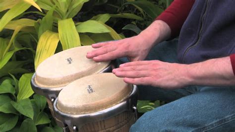 How To Play Calypso On The Bongos A Lesson For Beginners Youtube