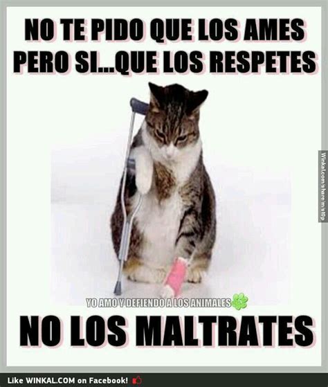 No Al Maltrato Animal Proteccion Animal Animales Frases Cuidar