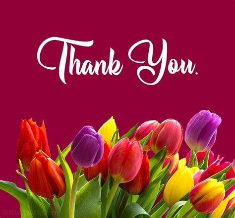 Thank You Messages To Write In A Appreciation Card Best Quotations