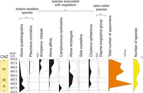 Relative Abundance Diagram Of Subfossil Cladocera Taxa And The Diagram