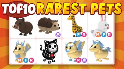 Those cute little furry faces and those crazy antics are hard to resist on any day. Download Top Ten Rarest Pets In Adopt Me - Wayang Pets