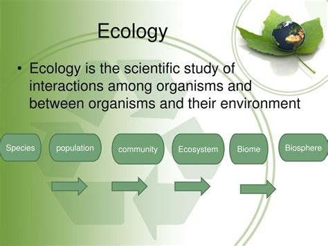 Ecology Is The Study Of Interactions Among Organisms Study Poster