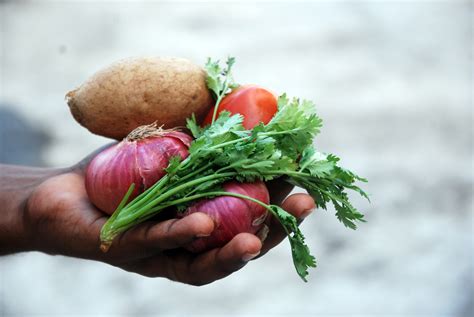 3840x2160 Wallpaper Person Holding Vegetables On Hand Peakpx