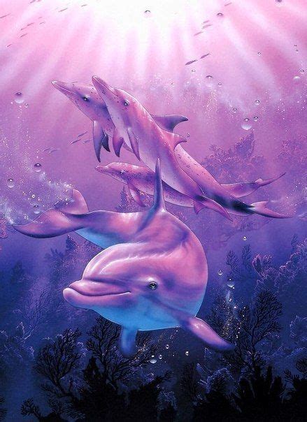 Dolphin Art Sea Dolphin Dolphin Art River Dolphin Pink Dolphin