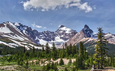 Download Wallpapers Alberta 4k Mountains Forest Summer