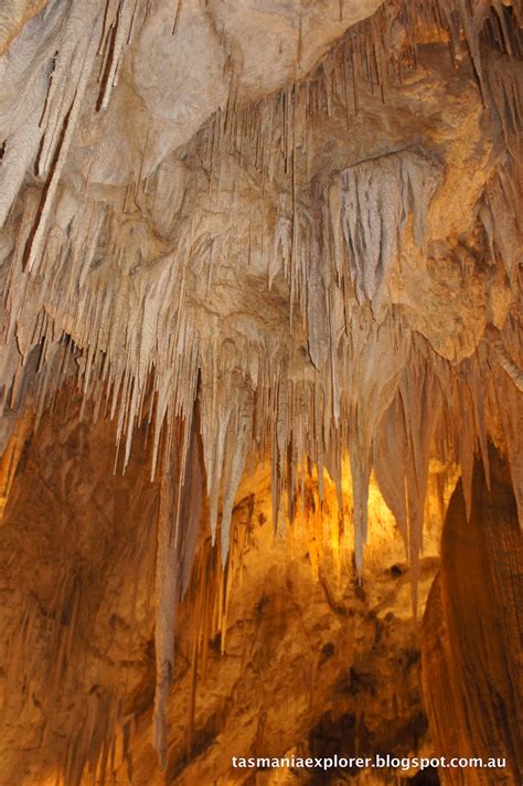 Exploring Tasmania Snapshot Hastings Caves And Thermal