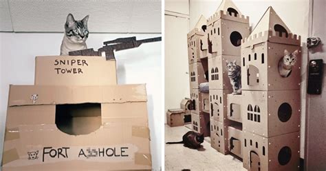 Bored Quarantined Cat Owners Have Started Building Majestic Cardboard