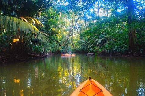 Tortuguero National Park 2020 All You Need To Know Before You Go