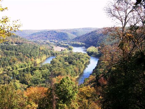 Allegheny National Forest - About - Google+ | Allegheny national forest, National forest, Forest