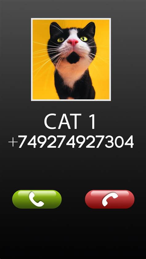 Fake Call Cat Prank Apk For Android Download