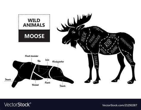 Cuts Of Elk Chart A Visual Reference Of Charts Chart Master