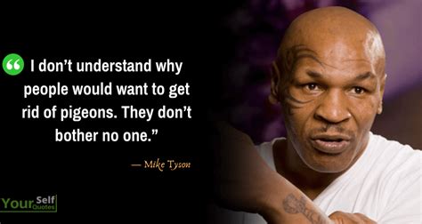 150 Mike Tyson Quotes That Will Make You A Great Champion Immense