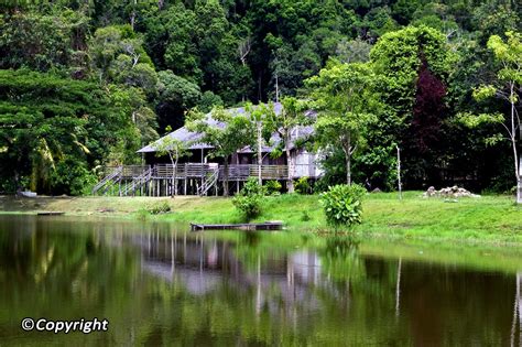 And if you are thinking there is so much to see and experience in sabah, that we have to go back again. Sarawak Attractions - What to See in Sarawak