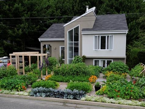 Vegetable Garden In The Front Yard Guide