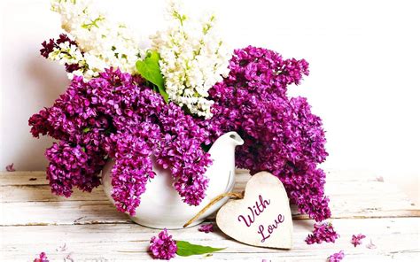 Love Flowers Wallpapers (54+ background pictures)