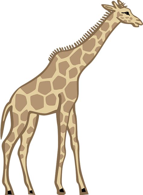 Giraffe Clipart Free Download Transparent Png Creazilla