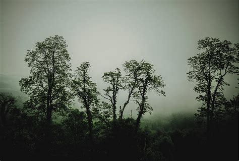 Foggy Mountain Morning At The Meadows Of Dan Photograph By John Haldane