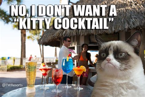 Grumpy Cat Beach Vacation Meme Designex2000