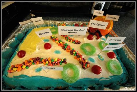 Plant Cell Project Cake