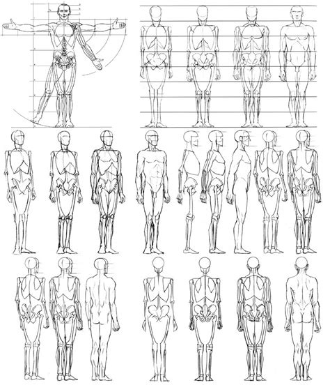 How To Draw The Human Body Book View How To Draw A Human Body Male