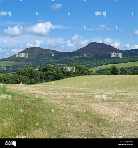 A View Of The Eildon Hills Across Farmland Near Galashiels Borders