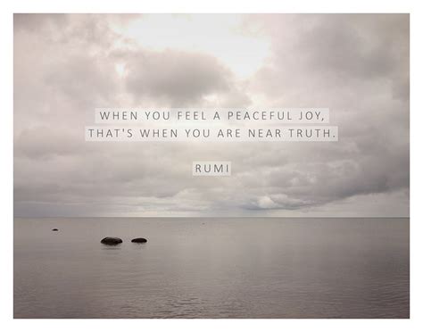 We hope you enjoy them! 25 Rumi Quotes that Reminded me what I had Forgotten about ...