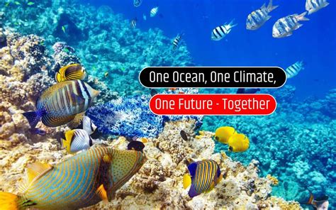 World Ocean Day Lets Protect Our Oceans For A Better Tomorrow