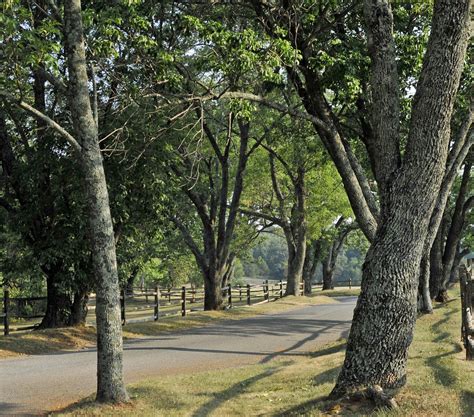 Ash Lawnhighland In Charlottesville Virginia Photos Boomsbeat