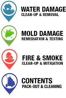 The.y were extremely prompt, well mannered and helped me with every step of the process. Contents Restoraion - Safeway Restoration