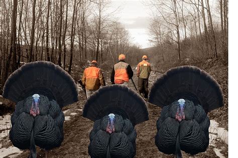 In Close Range: NY Spring Turkey Season