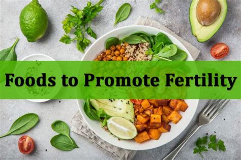 foods that increase fertility daily bloger foods for fertility