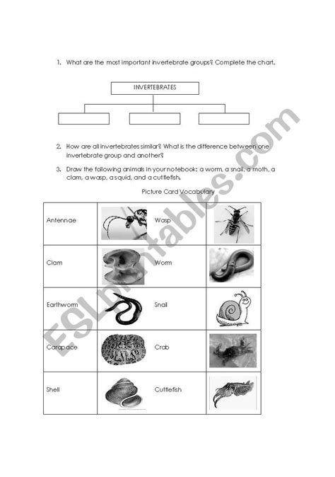 Introduction to animals invertebrate evolution and diversity— presentation transcript 18 invertebrate evolution and diversity cladogram of. Work Sheet On Introduction To Inverta Brate - Invertebrate Project : It's an easy work sheet ...