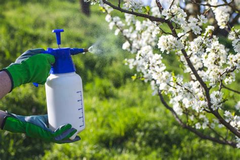 5 Best Uk Garden Sprayers Reviewed Nov 2020 Upgardener™