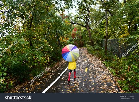 Autumn Fall Concept Woman Walking Forest Stock Photo