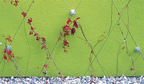 Les plantes à crampons ou ventouses. Realisation en cable pour la vegetalisation de facade ...