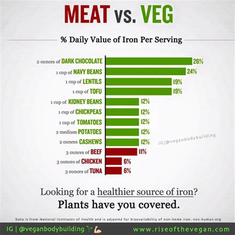where do you get your iron vegan iron vegan facts vegetarian diet