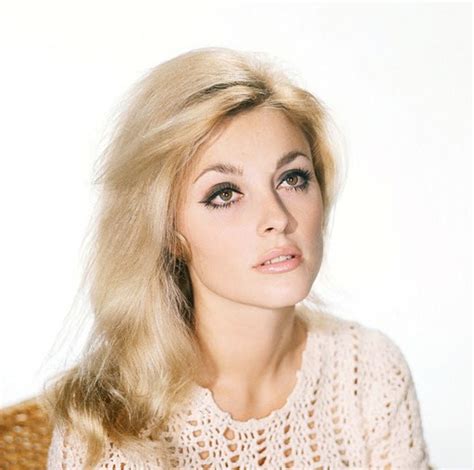 Sharon Tate Fotka