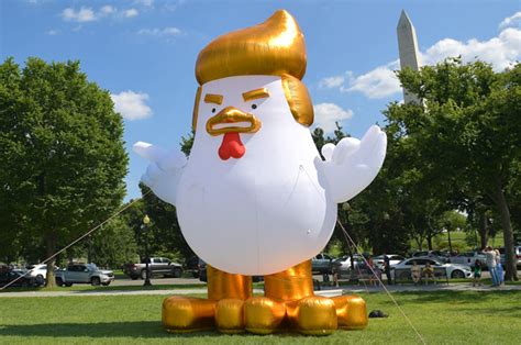 Inflatable Chicken Dressed As Trump Circles Alcatraz