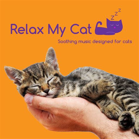 ‎relax My Cat Music To Help With Cat Anxiety By Relaxmycat On Apple Music