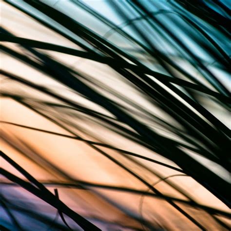 99 best images about iPad 4 / the New iPad Wallpapers on Pinterest