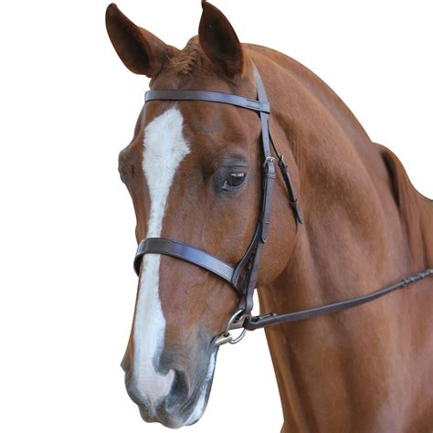 Collegiate Hunt Cavesson Bridle With Reins Brown
