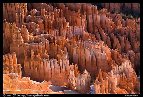 Picturephoto Pinnacles Hoodoos And Fluted Walls Bryce Canyon