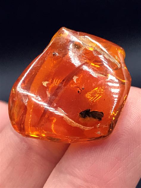 Sold Price Amber Fossil Natural Collectible Specimen April 4