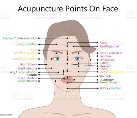 Your first impulse is to stroke the spot that aches as you need to provide pain relief to that point on your body. Active Acupuncture Points On The Facevector Illustration ...