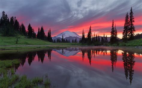 Pink Sunset Reflection Tipsoo Lake Mount Rainier Washington Usa