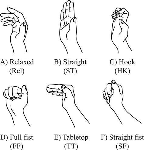 Deformation Of The Median Nerve At Different Finger Postures And Wrist